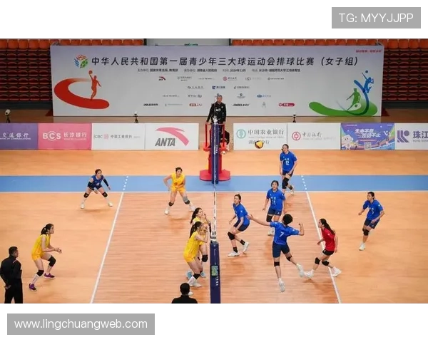 西安排球队的拼搏历程与总决赛背后的故事揭秘